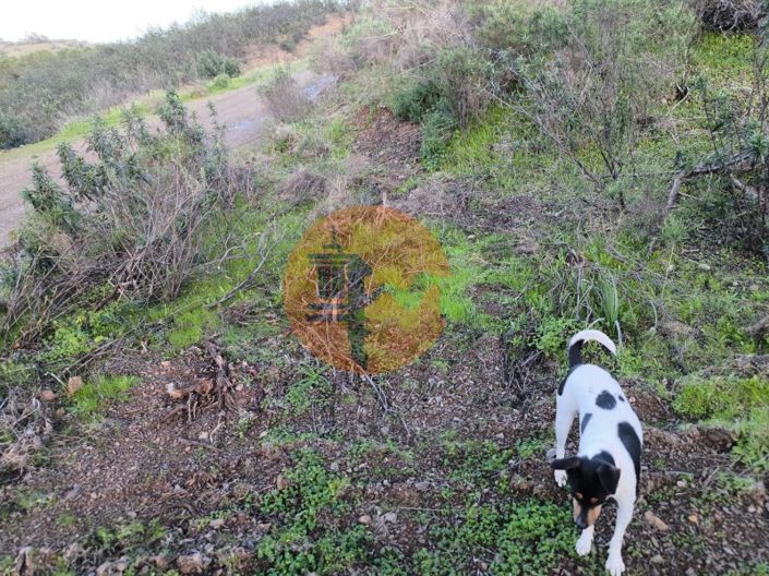 Image No.30-Plot for sale