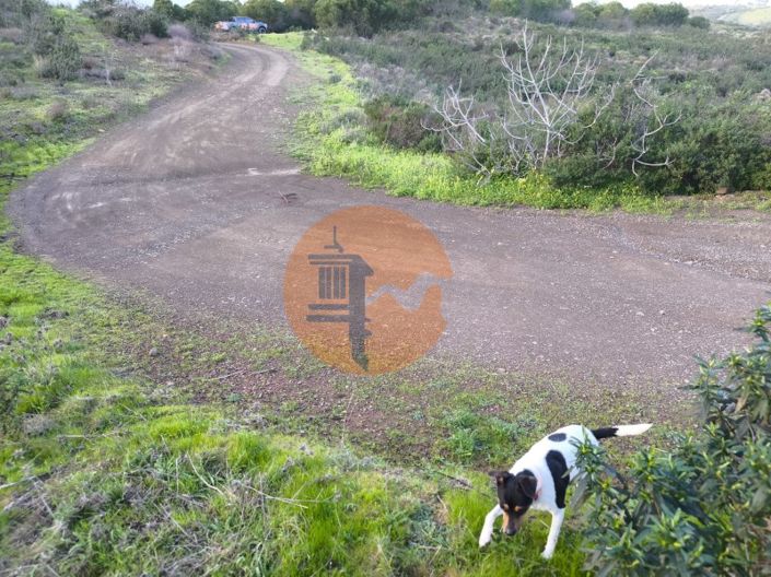 Image No.31-Plot for sale