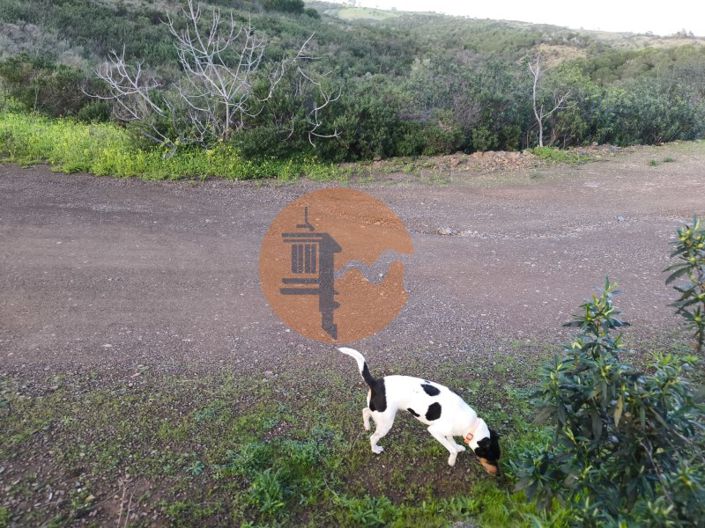 Image No.32-Plot for sale