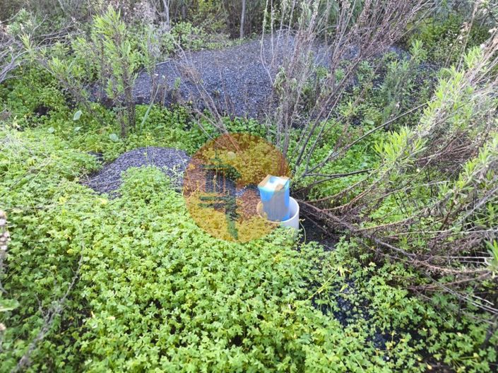 Image No.33-Plot for sale