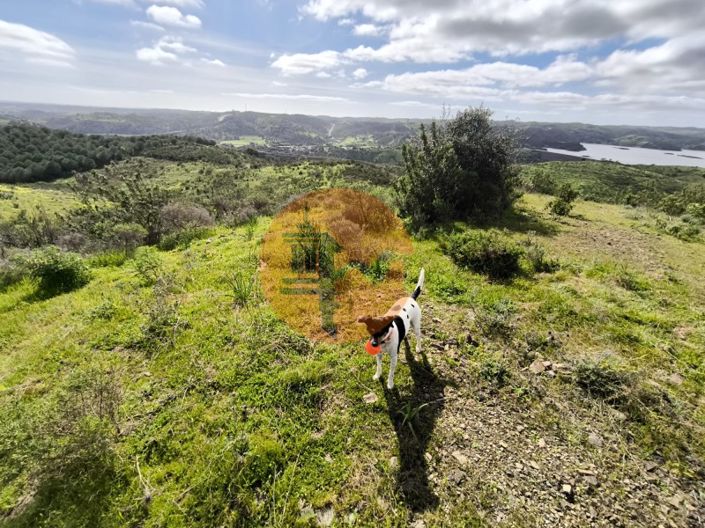 Image No.5-Plot for sale