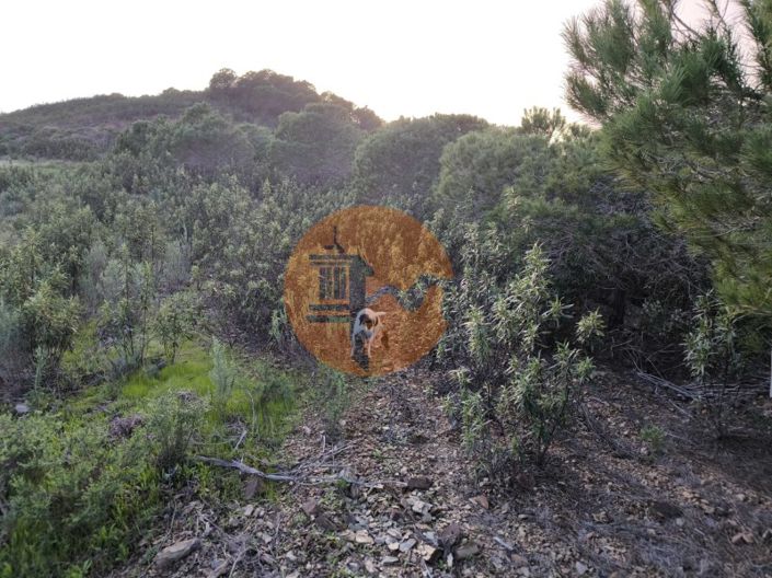 Image No.6-Plot for sale