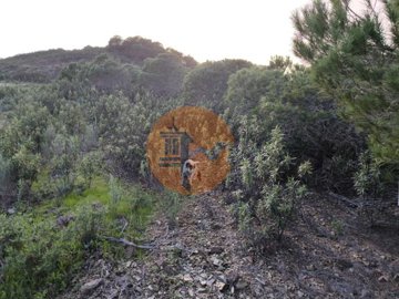 idb768c001-0000-0500-0000-000018a23444