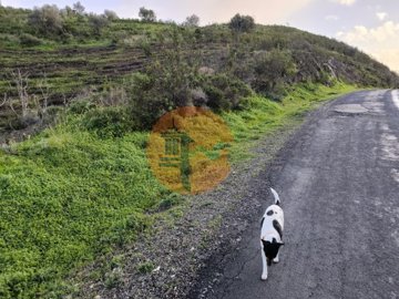 idb768c001-0000-0500-0000-000018bfbf4e