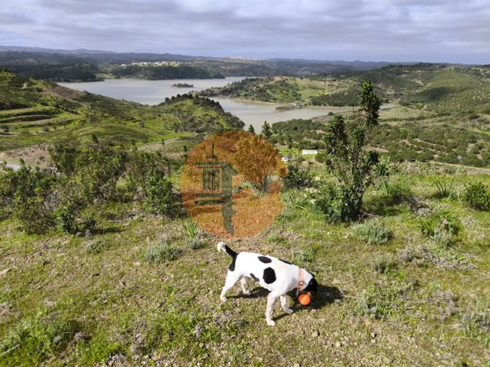 Image No.8-Plot for sale