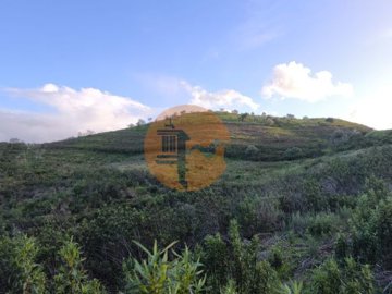 idb768c001-0000-0500-0000-000018a23446