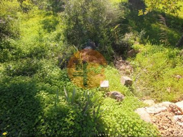 id826bba01-0000-0500-0000-00001885c24d