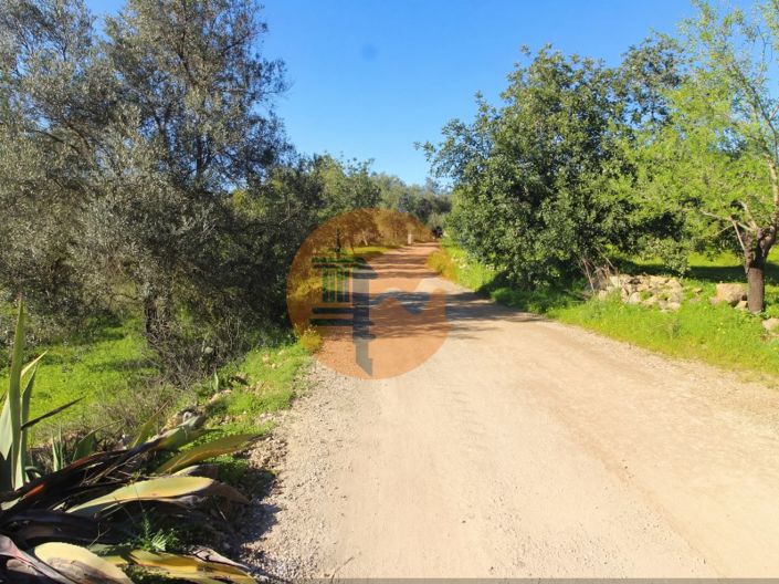 Image No.12-Ferme de 2 chambres à vendre à Tavira