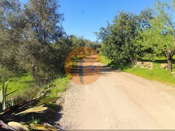 id826bba01-0000-0500-0000-00001885c24e