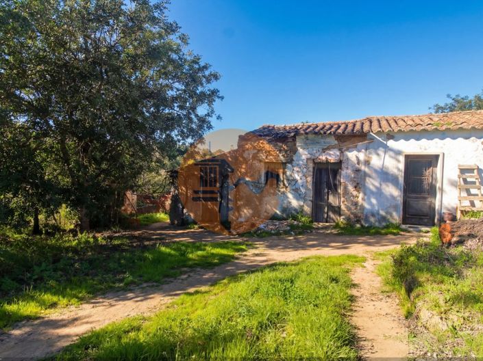 Image No.3-Ferme de 2 chambres à vendre à Tavira