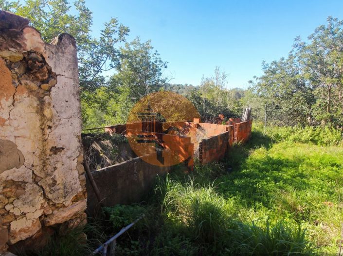 Image No.4-Ferme de 2 chambres à vendre à Tavira