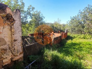 id826bba01-0000-0500-0000-00001885c23c