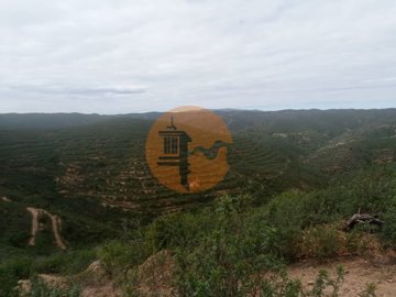 id772fb501-0000-0500-0000-000018c00228