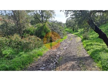 id40d9c401-0000-0500-0000-000018ca7529