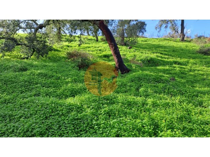 Image No.12-Terrain à vendre à Tavira