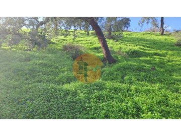 id40d9c401-0000-0500-0000-000018ca7530