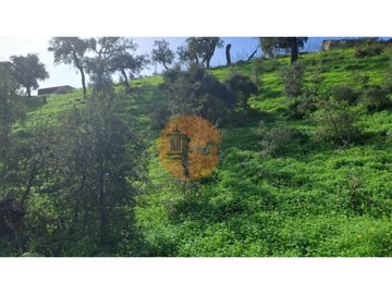 id40d9c401-0000-0500-0000-000018ca7531