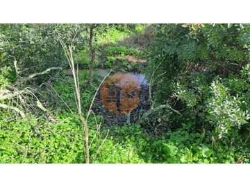 id40d9c401-0000-0500-0000-000018ca751c