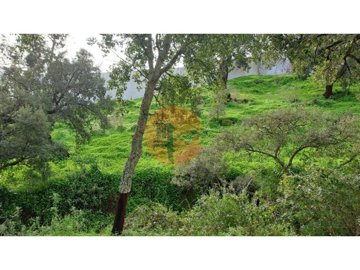 id40d9c401-0000-0500-0000-000018ca751f