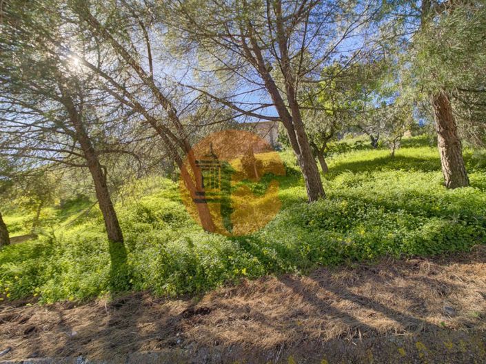 Image No.44-Appartement de 2 chambres à vendre à Castro Marim