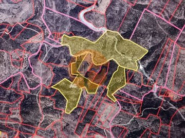 id81336501-0000-0500-0000-000010f9f9d1