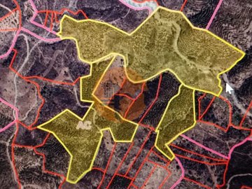 id81336501-0000-0500-0000-000010f9f9d0