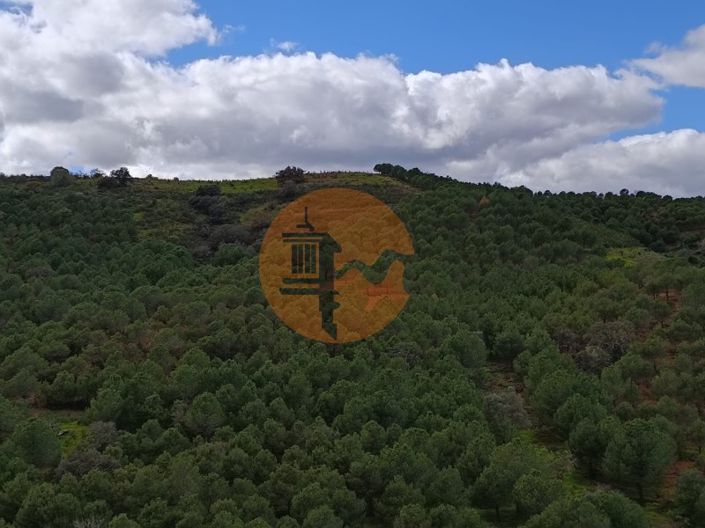 Image No.22-Plot for sale