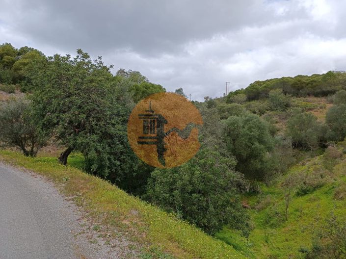 Image No.23-Plot for sale