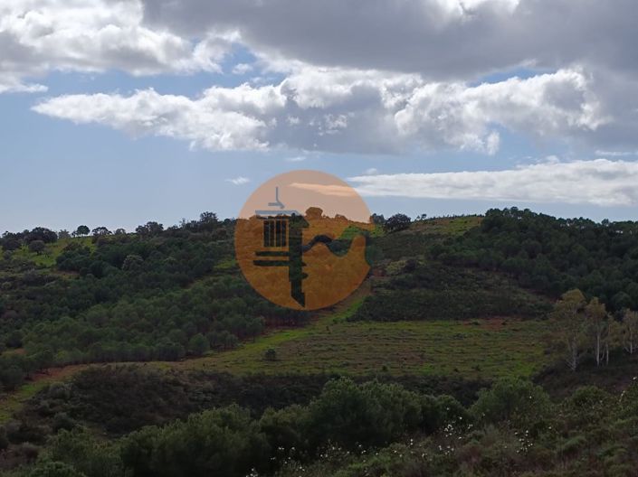 Image No.27-Plot for sale