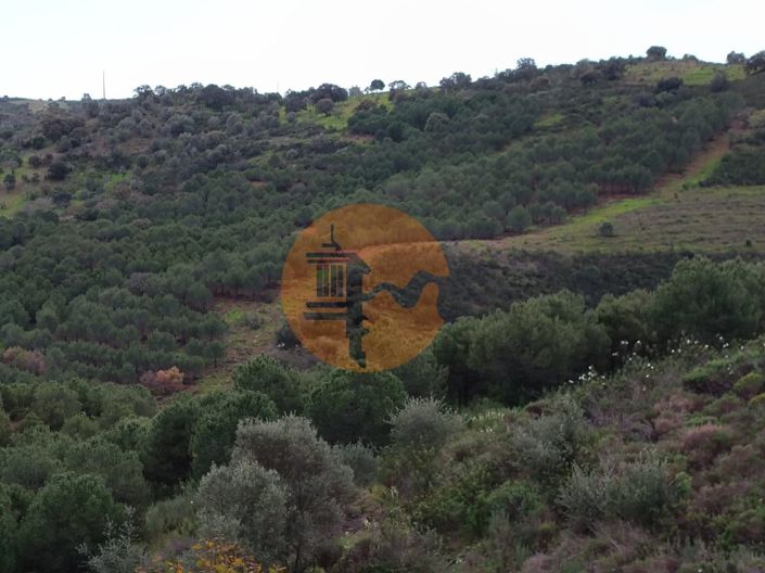 Image No.30-Plot for sale