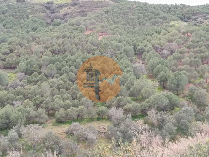 Image No.4-Plot for sale