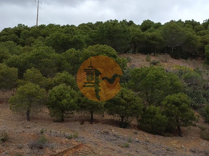 Image No.6-Plot for sale