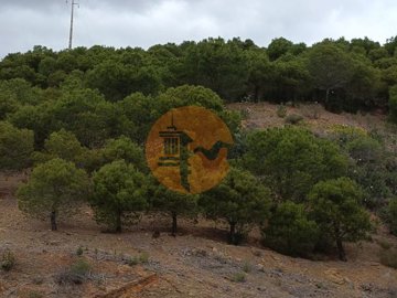 id81336501-0000-0500-0000-000010fe04db