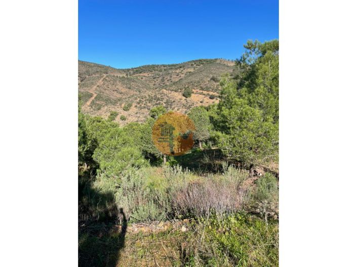 Image No.10-Plot for sale