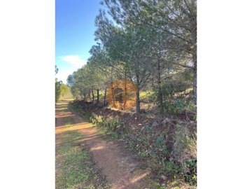 iddf4f7d01-0000-0500-0000-00001892c677