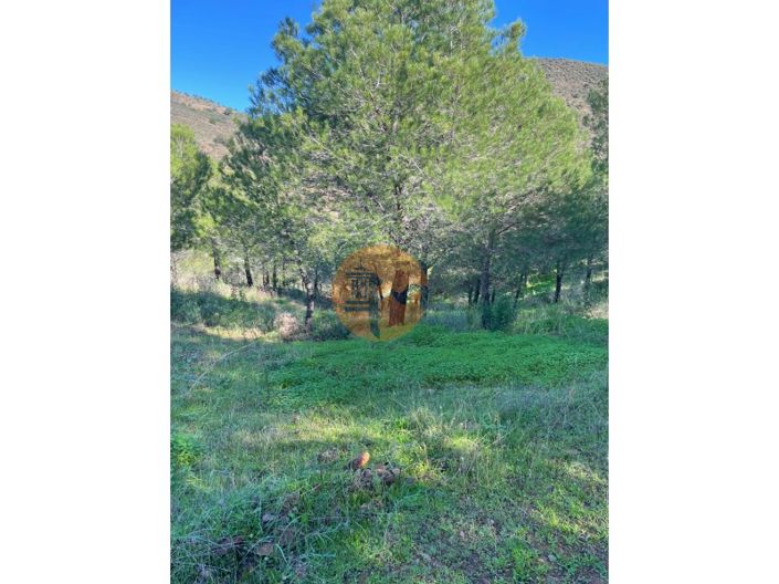 Image No.12-Plot for sale