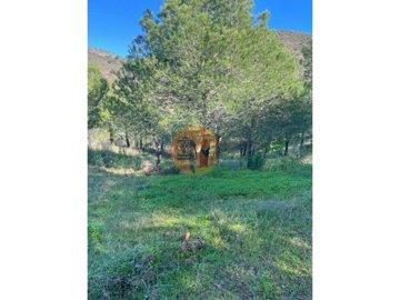 iddf4f7d01-0000-0500-0000-00001892c678