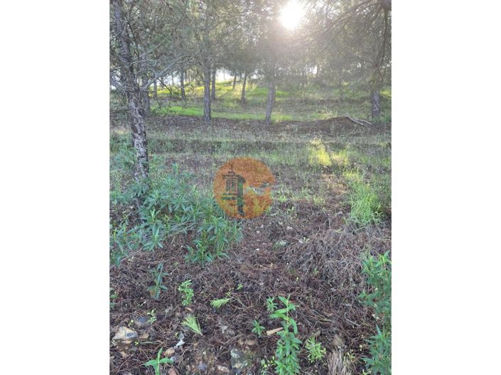 Image No.13-Plot for sale