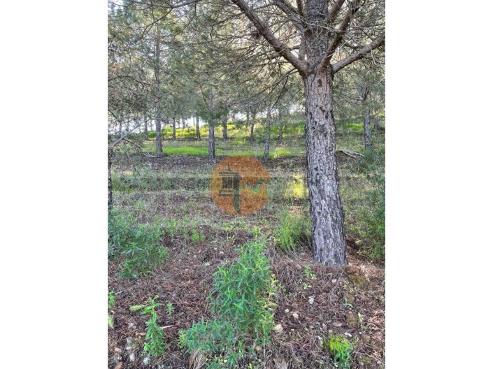 Image No.15-Plot for sale