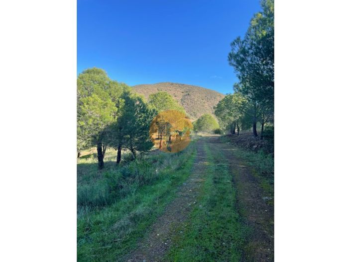 Image No.17-Plot for sale