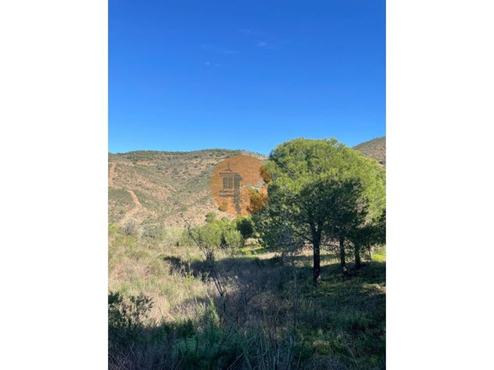 Image No.18-Plot for sale