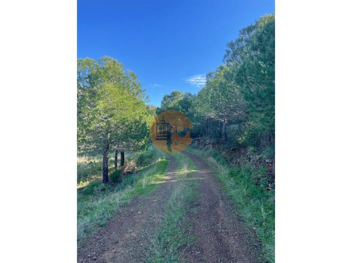 Image No.19-Plot for sale