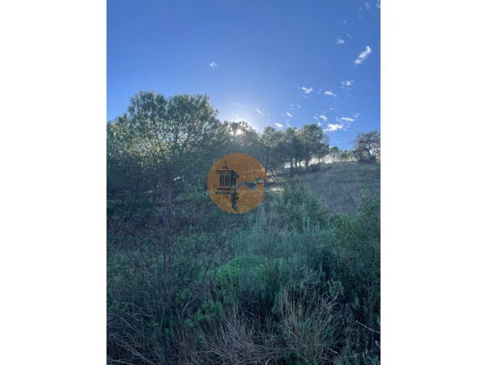 Image No.22-Plot for sale