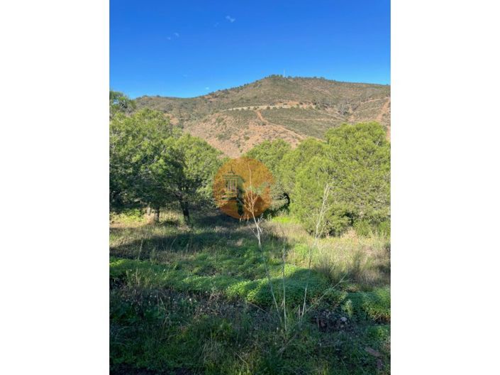 Image No.24-Plot for sale