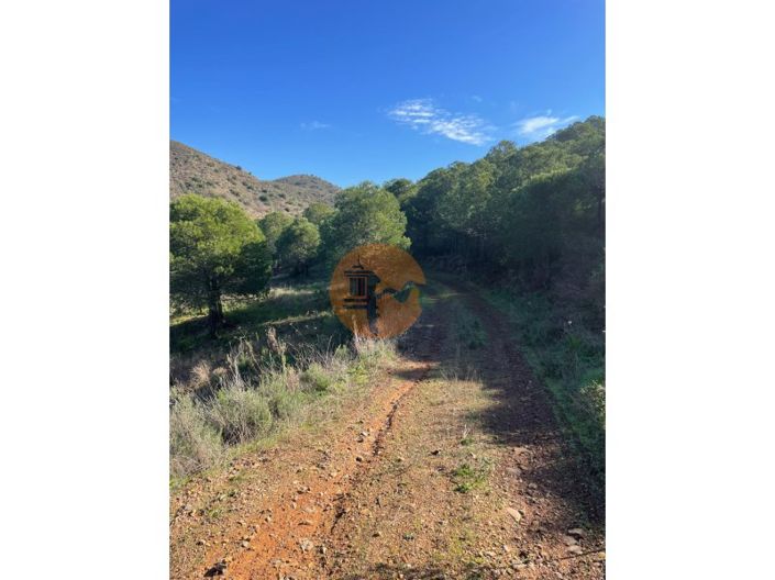 Image No.25-Plot for sale