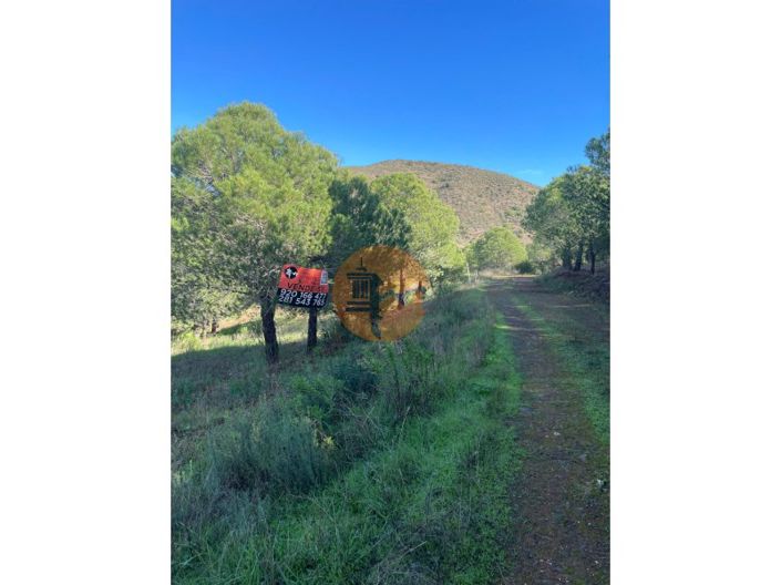 Image No.26-Plot for sale