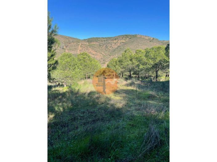 Image No.27-Plot for sale