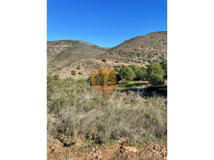 Image No.29-Plot for sale