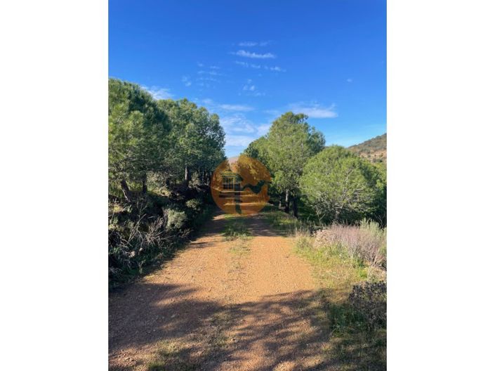 Image No.3-Plot for sale