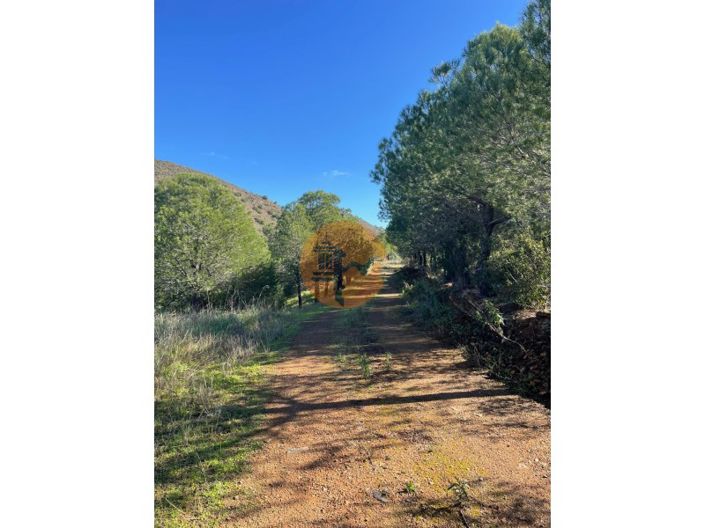 Image No.4-Plot for sale